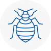 Bed Bug Extermination In Coggeshall