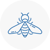 Bee Nest Removal Coggeshall