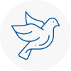 Bird Prevention Coggeshall