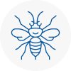 Coggeshall Hornet Nest Removals