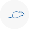 Mice Exterminators In Coggeshall
