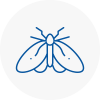 Moth Control Specialists In Coggeshall