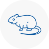 Rat Control Coggeshall