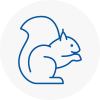 Coggeshall Rodent Removals